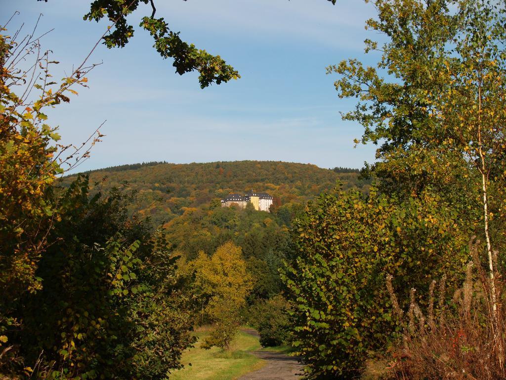 Hotel Zum Weissen Stein Kirchen  Екстериор снимка